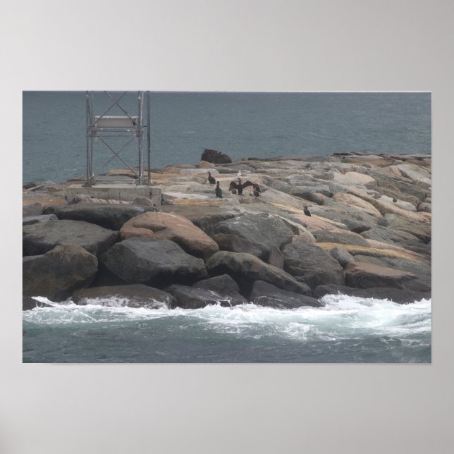 Felsen mit Vögeln Ozean-Wasserlandschaft-Poster Poster (Vorne)