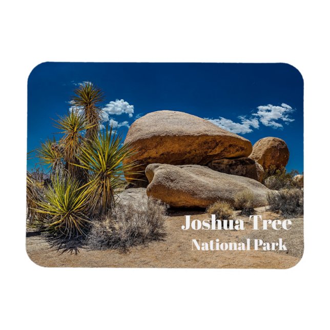 Felsen, Pflanzen, Sand, Joshua-Baum-Nationalpark, Magnet (Horizontal)