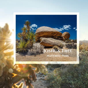 Felsen, Pflanzen, Sand, Joshua Tree National Park, Postkarte