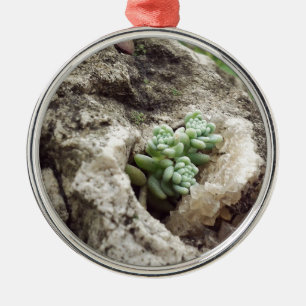 Felsen pflanzten und es geht gut. :) #succulent ornament aus metall