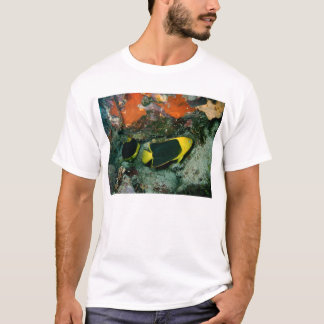 Felsen-Schönheiten T-Shirt
