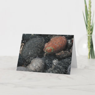 Felsen und Wasser Karte