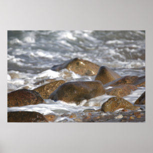 Felsen und Wellen in Rhode Island Poster