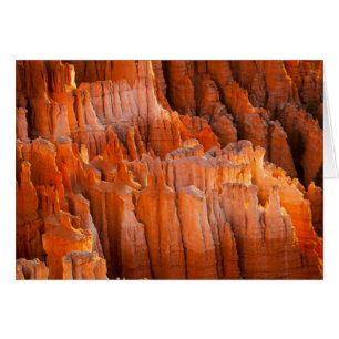 FelsenHoodoos im Morgen-Licht