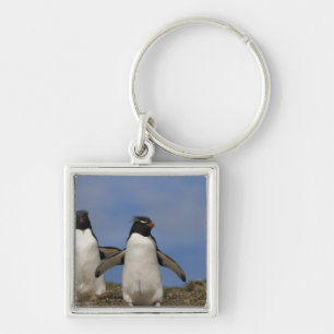 Felsenhüpper-Pinguine Eudyptes chrysocome Schlüsselanhänger