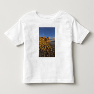 Felsenküste auf Isla Carmen im Golf von Kleinkind T-shirt