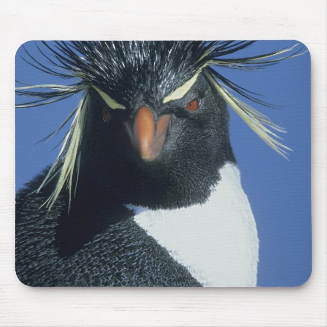 Felsenpinguin (Eudyptes chrysocome) Mousepad (Vorne)