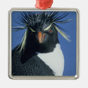 Felsenpinguin (Eudyptes chrysocome) Ornament Aus Metall