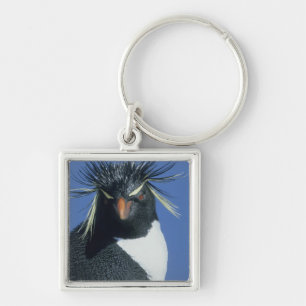 Felsenpinguin (Eudyptes chrysocome) Schlüsselanhänger
