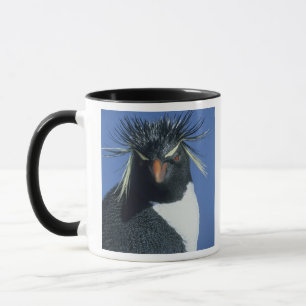 Felsenpinguin (Eudyptes chrysocome) Tasse