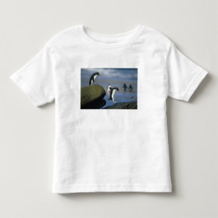Felsenpinguine, Eudyptes chrysocome), Kleinkind T-shirt