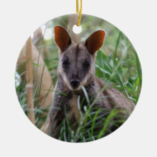 Felsenwallaby-Verzierung Keramikornament