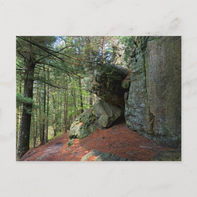 Felsenwand und Wälder auf dem Burggraben Postkarte (Vorderseite)