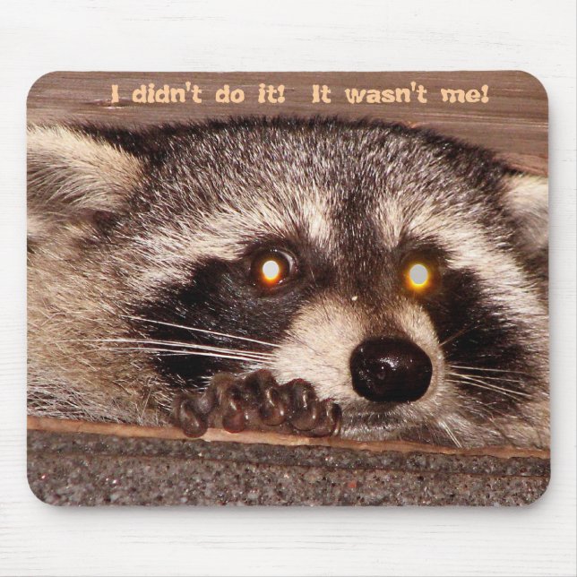 Felsig, tat ich es nicht!  Es war nicht ich! Mousepad (Vorne)