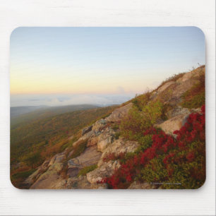 Felsiger Abhang, rote Blumen, Acadia-Nationalpark Mousepad