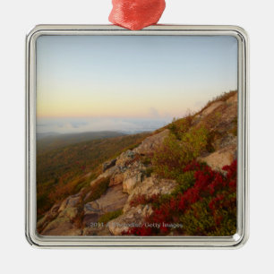 Felsiger Abhang, rote Blumen, Acadia-Nationalpark Silbernes Ornament