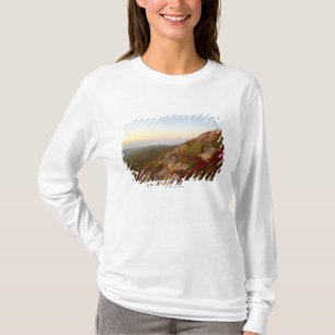 Felsiger Abhang, rote Blumen, Acadia-Nationalpark T-Shirt
