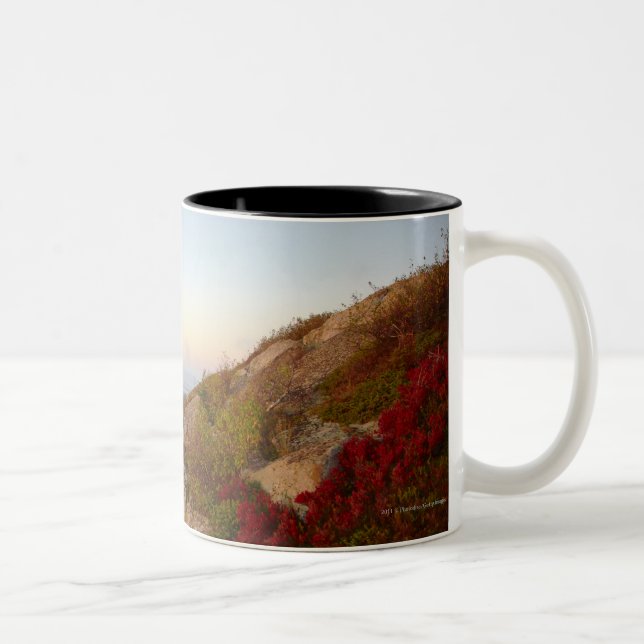 Felsiger Abhang, rote Blumen, Acadia-Nationalpark Zweifarbige Tasse (Rechts)