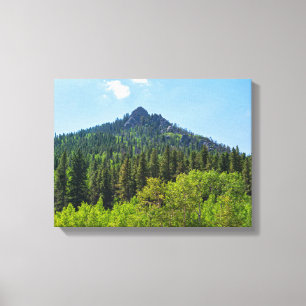 felsiger Berggipfel und Waldland am Golden Gate Leinwanddruck