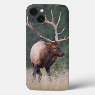 Felsiger Gebirgselche Case-Mate iPhone Hülle