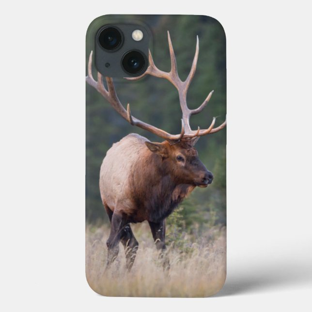 Felsiger Gebirgselche Case-Mate iPhone Hülle (Rückseite)