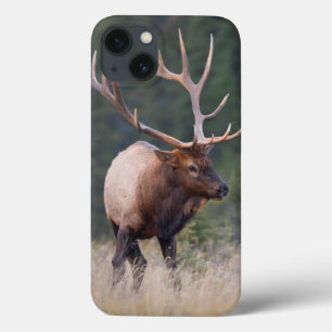 Felsiger Gebirgselche Case-Mate iPhone Hülle