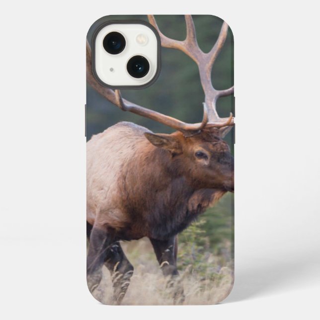 Felsiger Gebirgselche iPhone Hülle (Rückseite)
