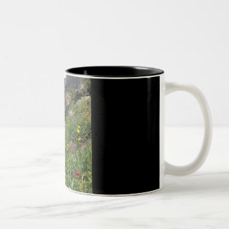 Felsiger GebirgsWildblumen Zweifarbige Tasse