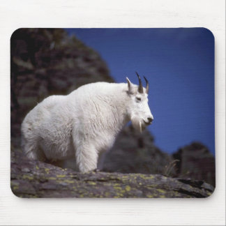 Felsiger Gebirgsziege (großer Mann) Mousepad