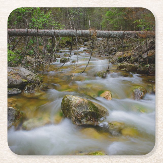 Felsiger Waldnebenfluss-Untersetzer Rechteckiger Pappuntersetzer (Vorderseite)