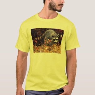 FELSIGER WASCHBÄR T-Shirt