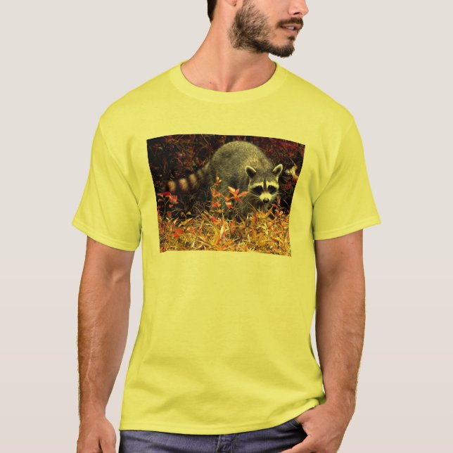 FELSIGER WASCHBÄR T-Shirt (Vorderseite)
