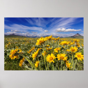 Felsvorsprung Poster