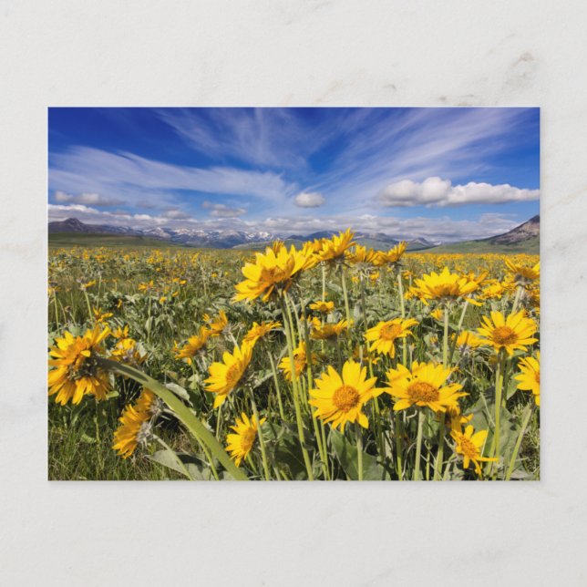 Felsvorsprung Postkarte (Vorderseite)