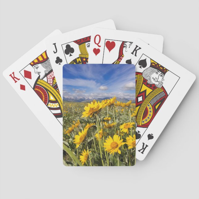 Felsvorsprung Spielkarten (Rückseite)