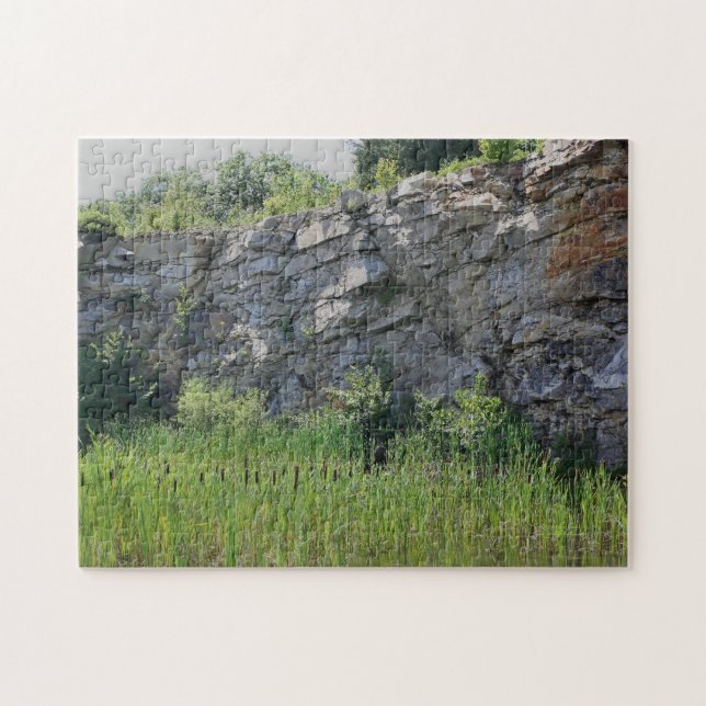 Felswand Cattails Teiche Natur Puzzle (Horizontal)