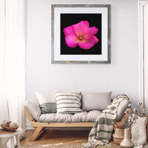 Felt Pen Rose Fotodruck