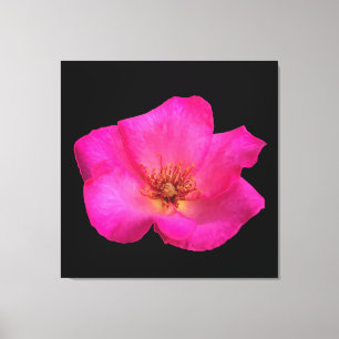 Felt Pen Rose Leinwanddruck