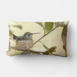 Female Hummingbird on her nest Lendenkissen