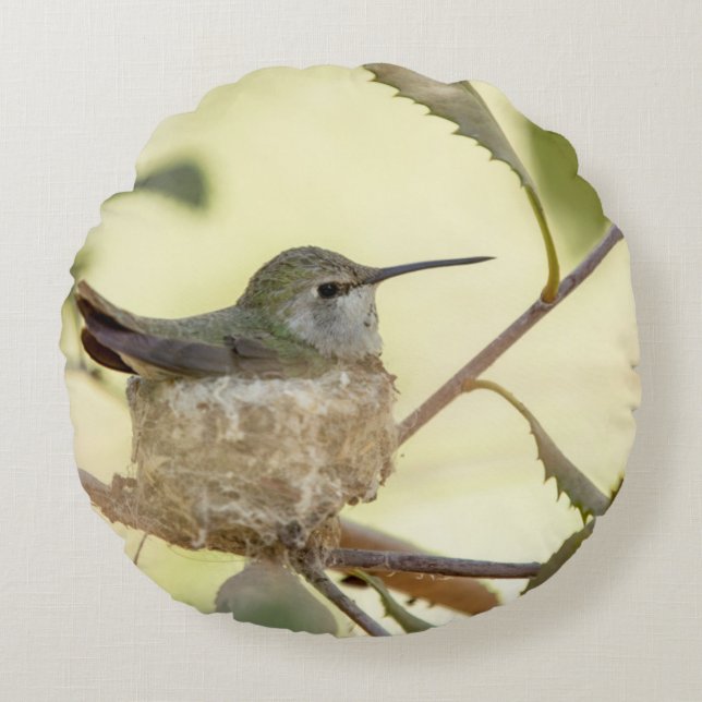 Female Hummingbird on her nest Rundes Kissen (Vorderseite)