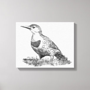 Female Northern Flicker Leinwanddruck