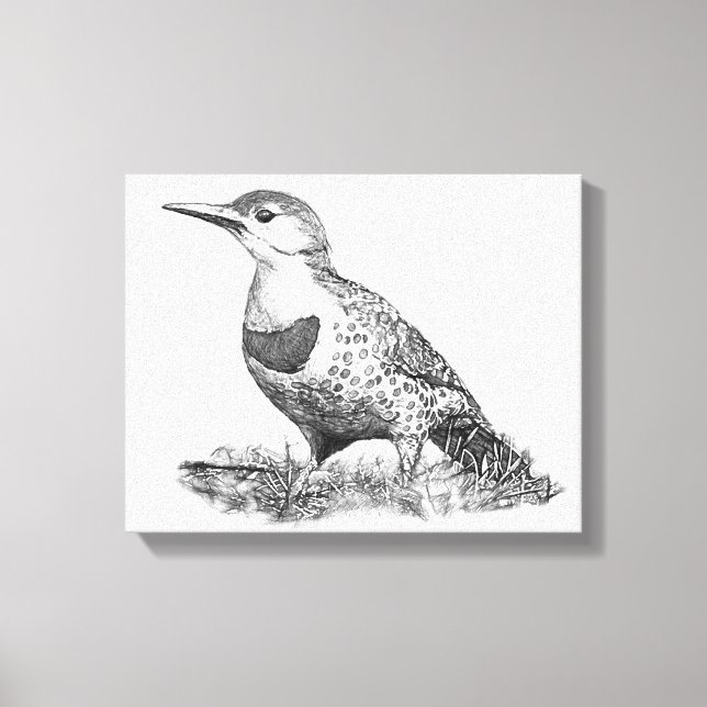 Female Northern Flicker Leinwanddruck (Vorderseite)