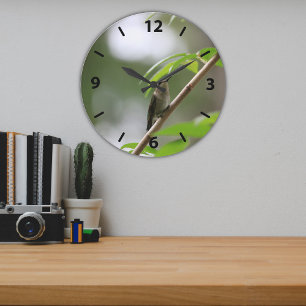 Female Ruby Throated Hummingbird (The Watcher) Große Wanduhr