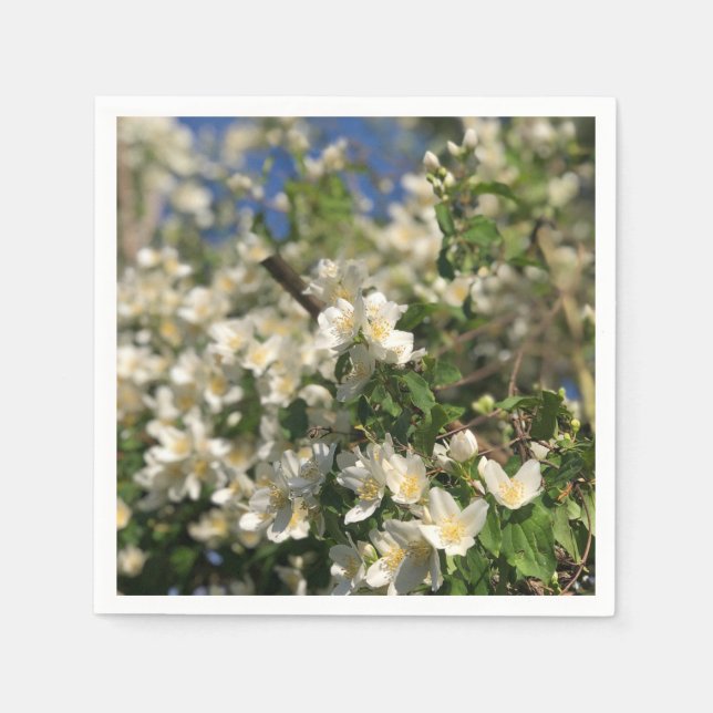 Feminin Serviette (Vorderseite)