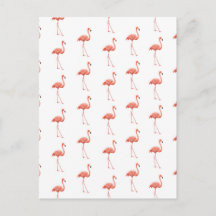 Feminine Pink Flamingo Muster