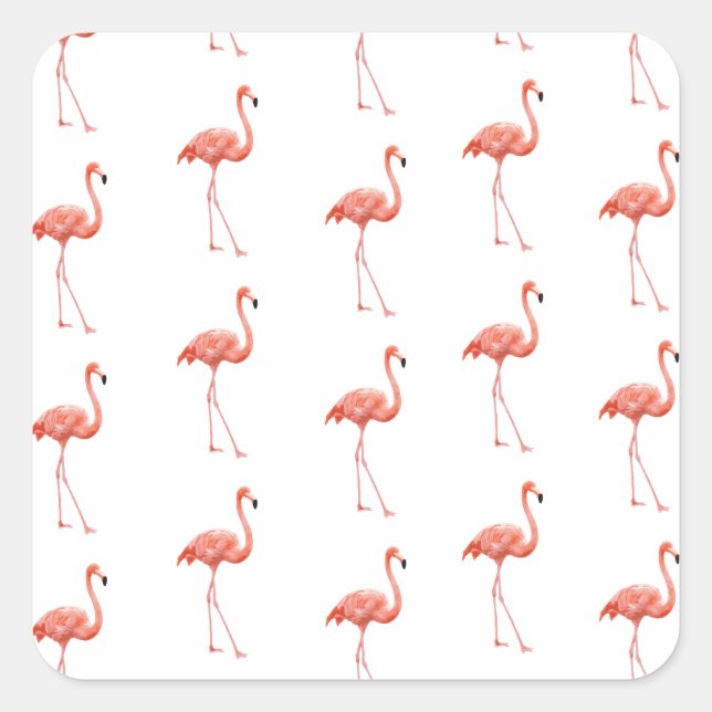 Feminine Pink Flamingo Muster Quadratischer Aufkleber (Vorderseite)