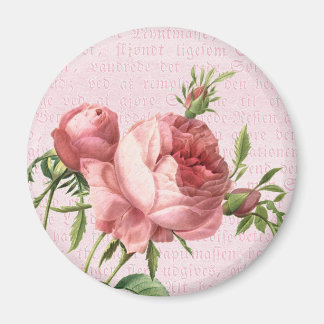 Feminine und schöne Vintage Rose rosa Magnet
