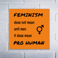 Feminismus pro menschliches Slogan Orange
