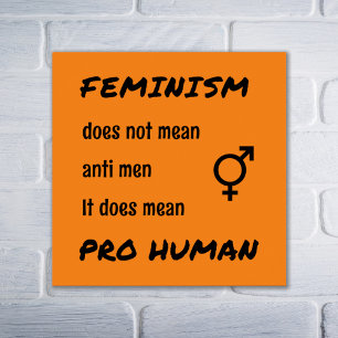 Feminismus pro menschliches Slogan Orange Poster