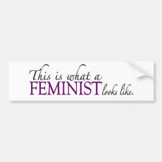 Feminist schaut Gleiches Autoaufkleber